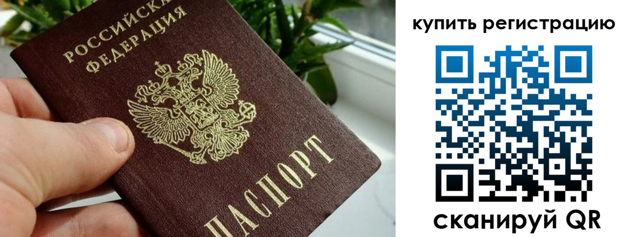 прописка гарантия в Няндоме